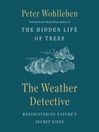 Cover image for The Weather Detective